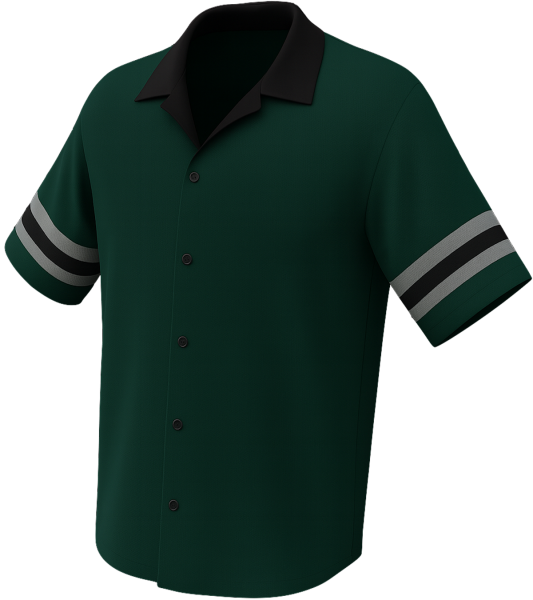 “The Birds" – Premium Sublimated Retro Football Bowling Jersey | Classic Button-Down, Made in USA, Includes Custom Name & Logo